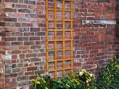 trellis - wood, square lattice